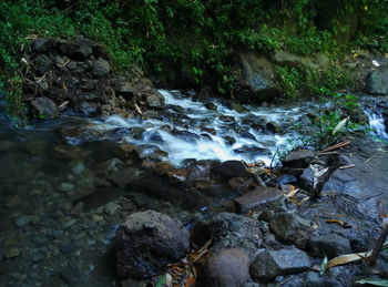 Close-up of stream flowing through rocks in forest