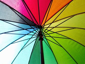 Low angle view of chlorofil umbrella