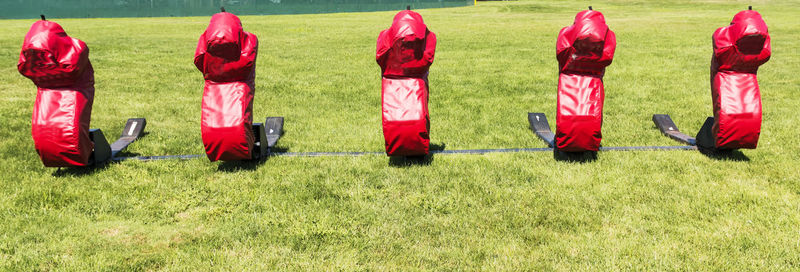 Rear view of people walking on field