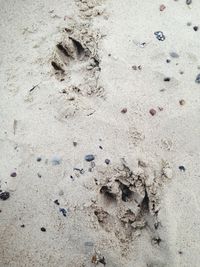 Close-up of footprints on sand