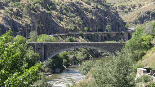 Bridge over river amidst trees in forest