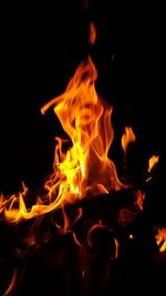 Close-up of fire at night