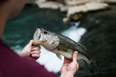 Midsection of person holding fish