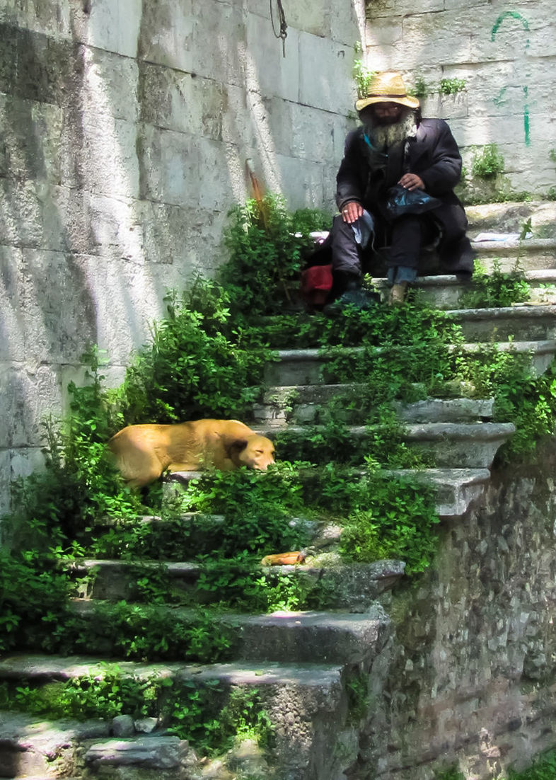 REAR VIEW OF WOMAN WITH DOG IN PARK