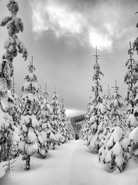 Snow covered landscape against sky