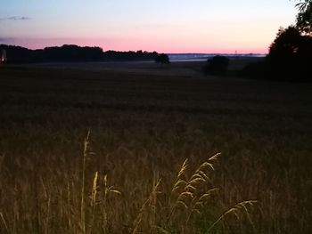 Scenic view of field against sky during sunset