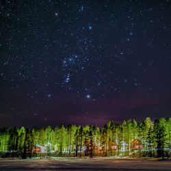 Scenic view of trees against sky at night