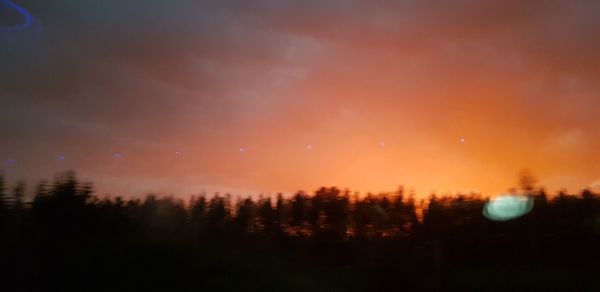 Silhouette trees against sky during sunset