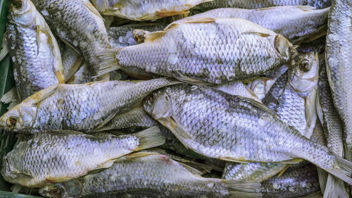 Full frame shot of fish for sale in market