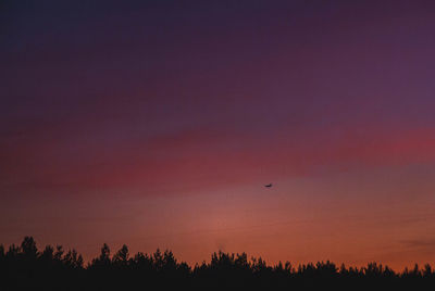 Low angle view of silhouette trees against sky during sunset