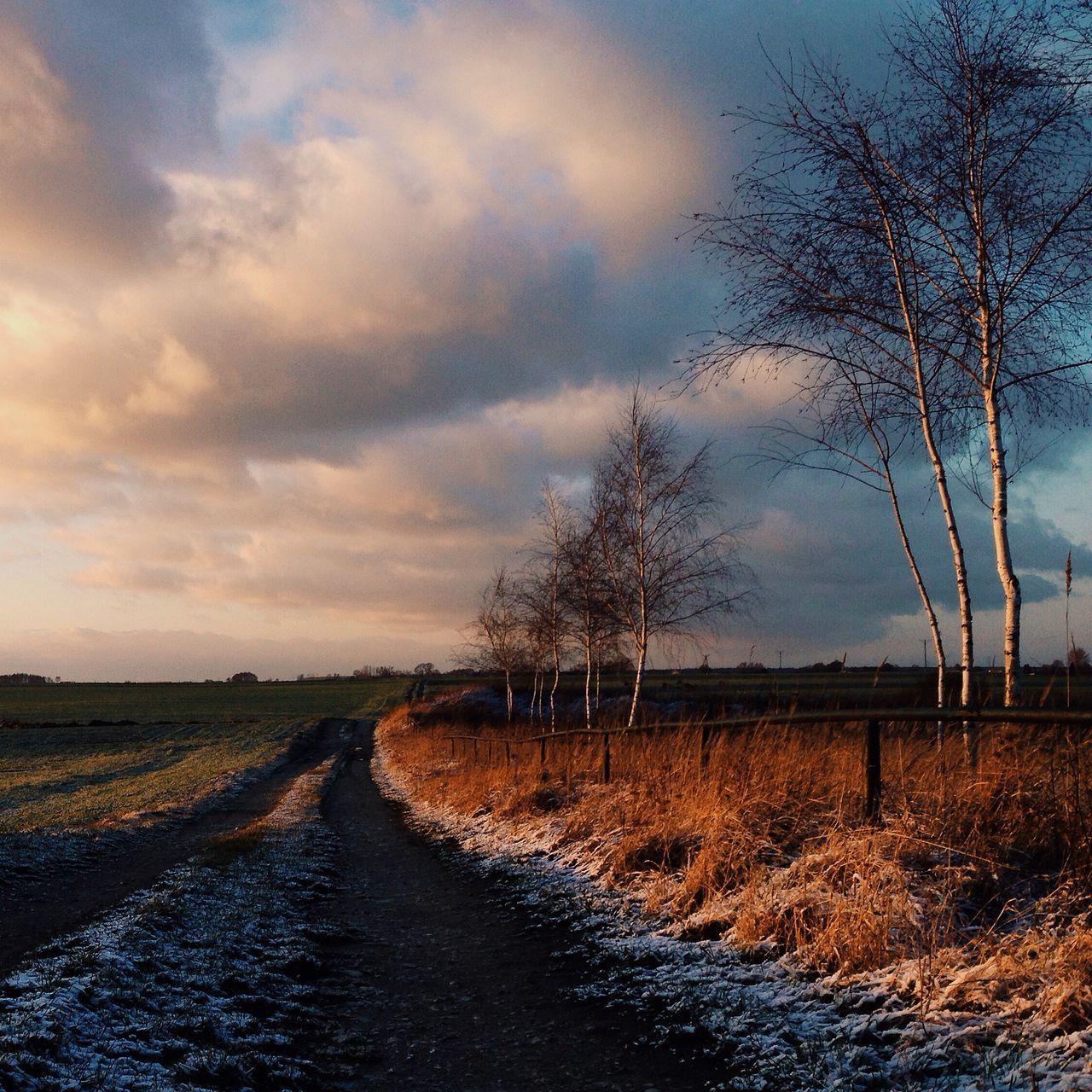 the way forward, sky, tranquility, tranquil scene, landscape, diminishing perspective, bare tree, road, dirt road, field, vanishing point, tree, nature, scenics, cloud - sky, rural scene, beauty in nature, country road, transportation, cloud