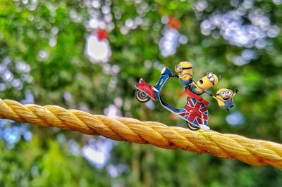 Close-up of toy hanging on rope