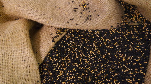 Directly above shot of sesame seeds in jute sack