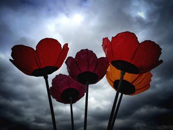 Low angle view of red flowers against sky