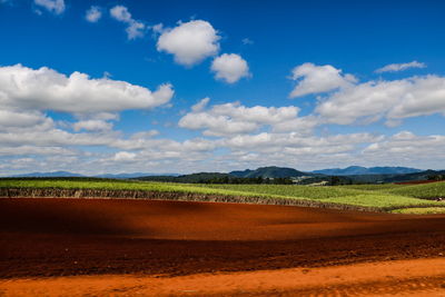 Scenic view of field against sky