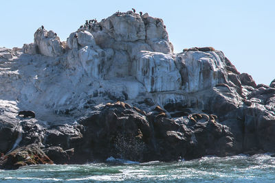 Panoramic view of rock formation in sea against clear sky