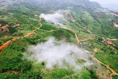 environment
