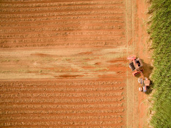 High angle view of person on field