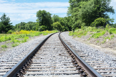 View of railway tracks along trees