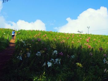 Scenic view of field against cloudy sky