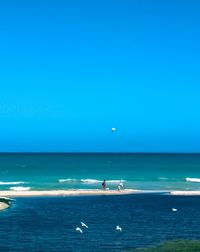 Seagull flying over sea against clear blue sky