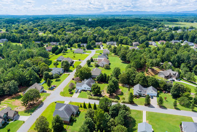 High angle view of trees and plants against sky