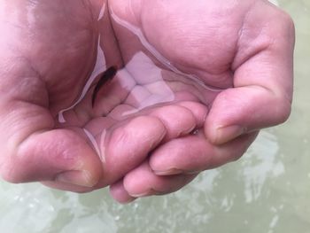 Close-up of hand holding baby