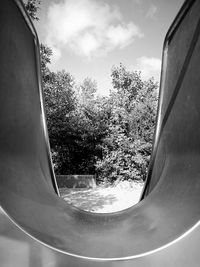 Reflection of trees on glass window