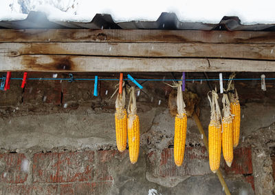 Close-up of clothes drying on clothesline