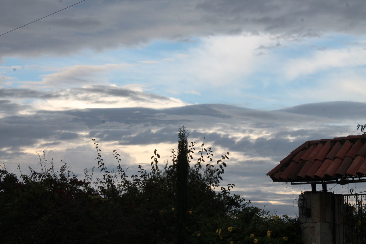 PLANTS AND BUILDING AGAINST SKY DURING SUNSET