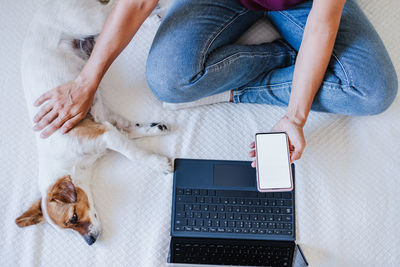 Unrecognizable woman at home working on laptop and mobile phone while cute jack russell dog resting