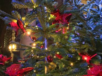 Illuminated christmas tree at night