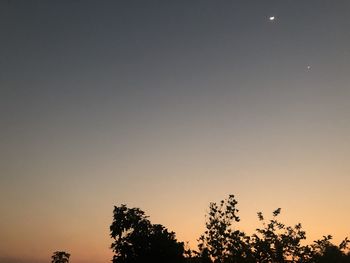 Low angle view of silhouette trees against sky at night