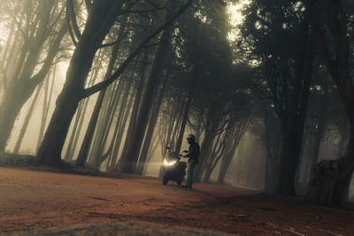 Man amidst trees in forest