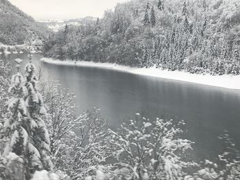 Scenic view of lake in forest during winter