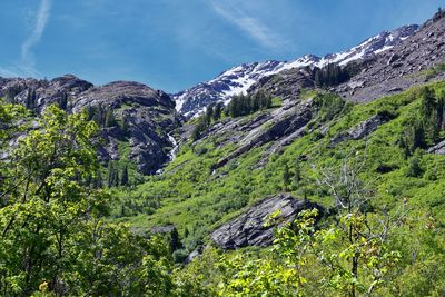 Lake blanche forest twin peaks wilderness, wasatch national forest in big cottonwood canyon utah. 