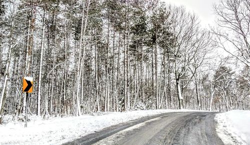 Road amidst bare trees during winter