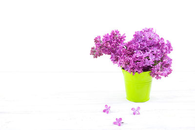 Close-up of pink flower pot on table against white background