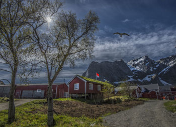 Tourist cabins on field against sky