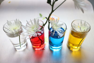 Close-up of flowers in shot glasses