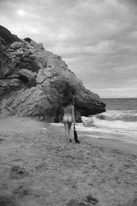 Naked woman walking on sand at beach