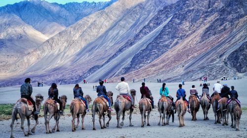 Group of people on mountain road