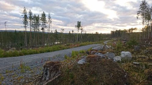 Scenic view of landscape against sky