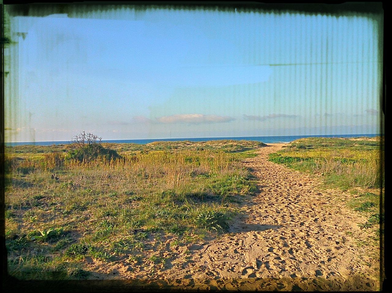 transfer print, auto post production filter, water, tranquility, tranquil scene, grass, sea, clear sky, horizon over water, scenics, nature, beauty in nature, sky, plant, copy space, day, beach, outdoors, sunlight, idyllic