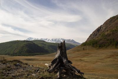 Scenic view of landscape against sky