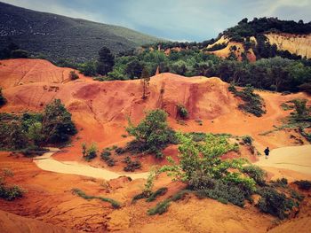 View of trees on mountain