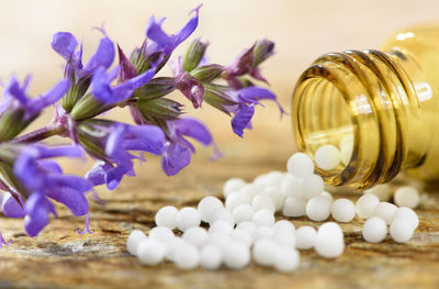 Close-up of white flowers on glass table