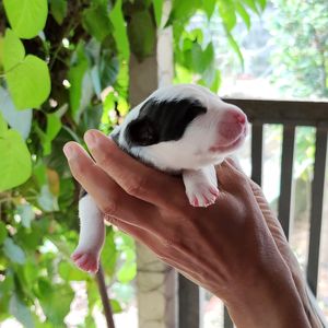 Full length of hand holding plant against blurred background