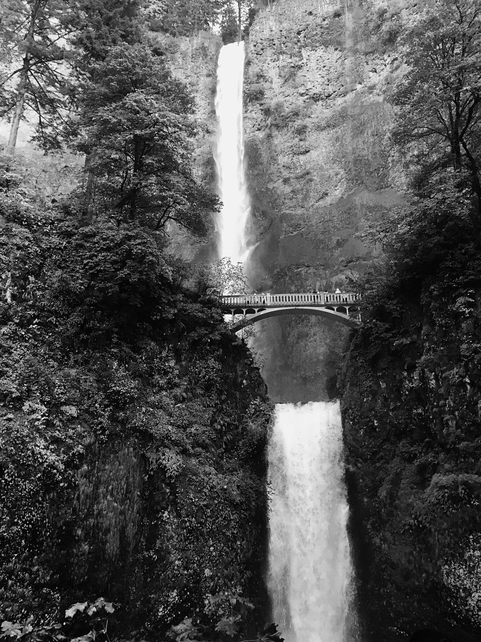 VIEW OF WATERFALL