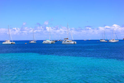 Sailboats sailing on sea against sky